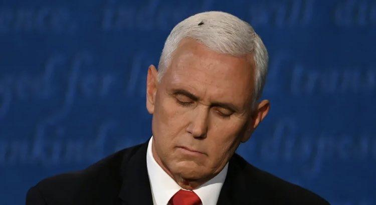 🚨🚨 突发：国家情报总监图尔西·加巴德刚刚公布了一批珍贵文件，揭露迈克·彭斯