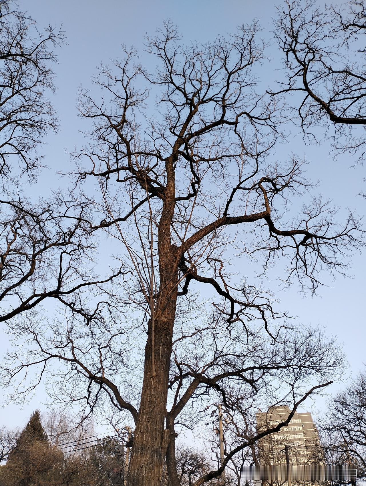 分享手机里随手拍的风景照片