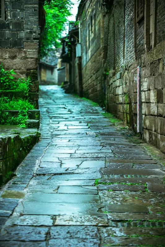 古钟回响
 
雨下了三天三夜，青石巷的积水漫过脚踝，混着青灰色的苔藓味，黏腻得让