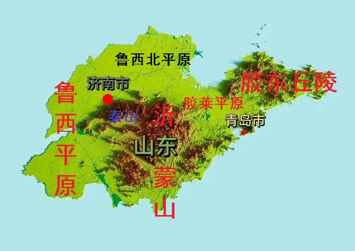 汤姆张，口中的鲁西南在哪里？