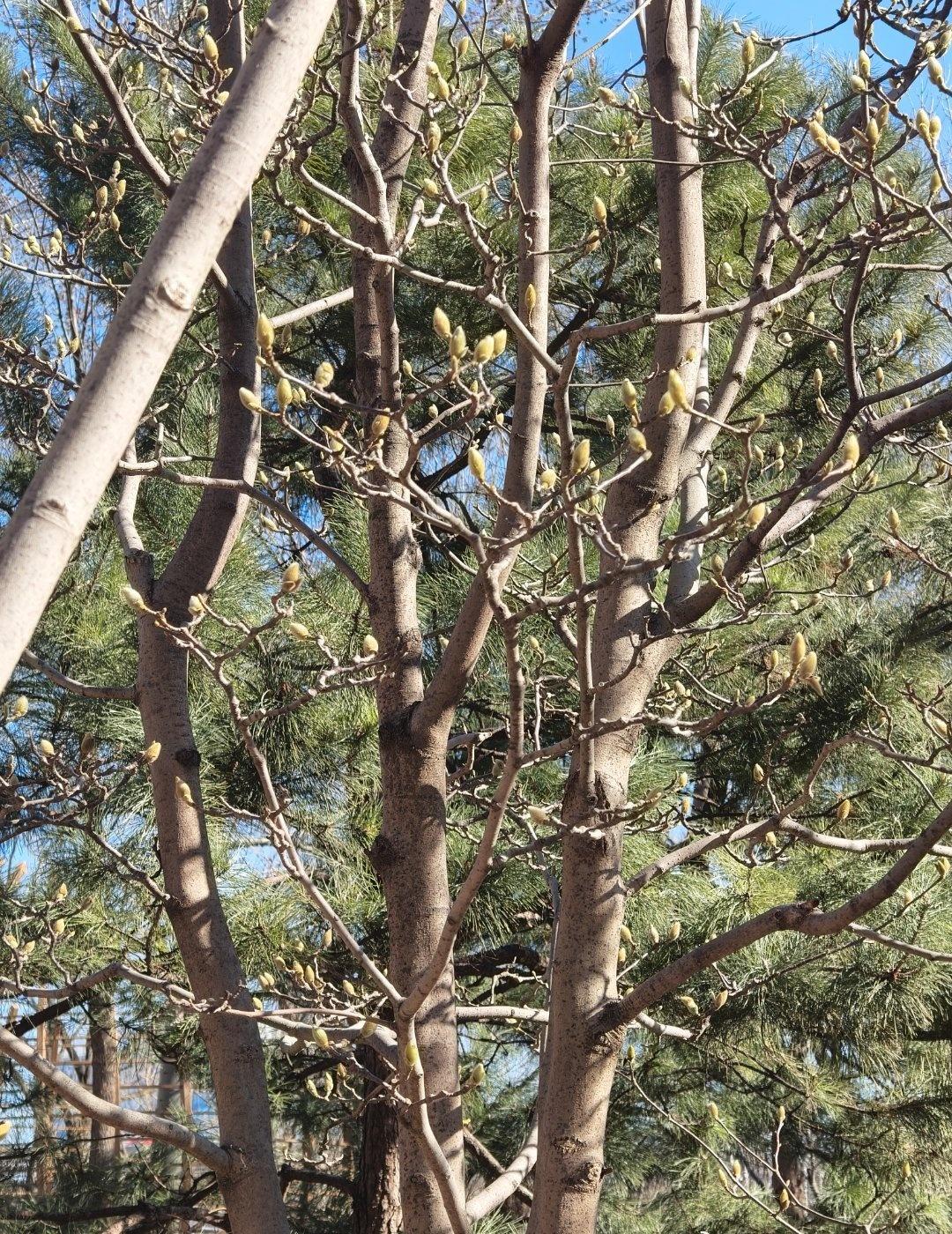 唉，生命的逝去真的令人伤感，希望大家都尽量在工作赚钱的同时能保住身体健康。

有