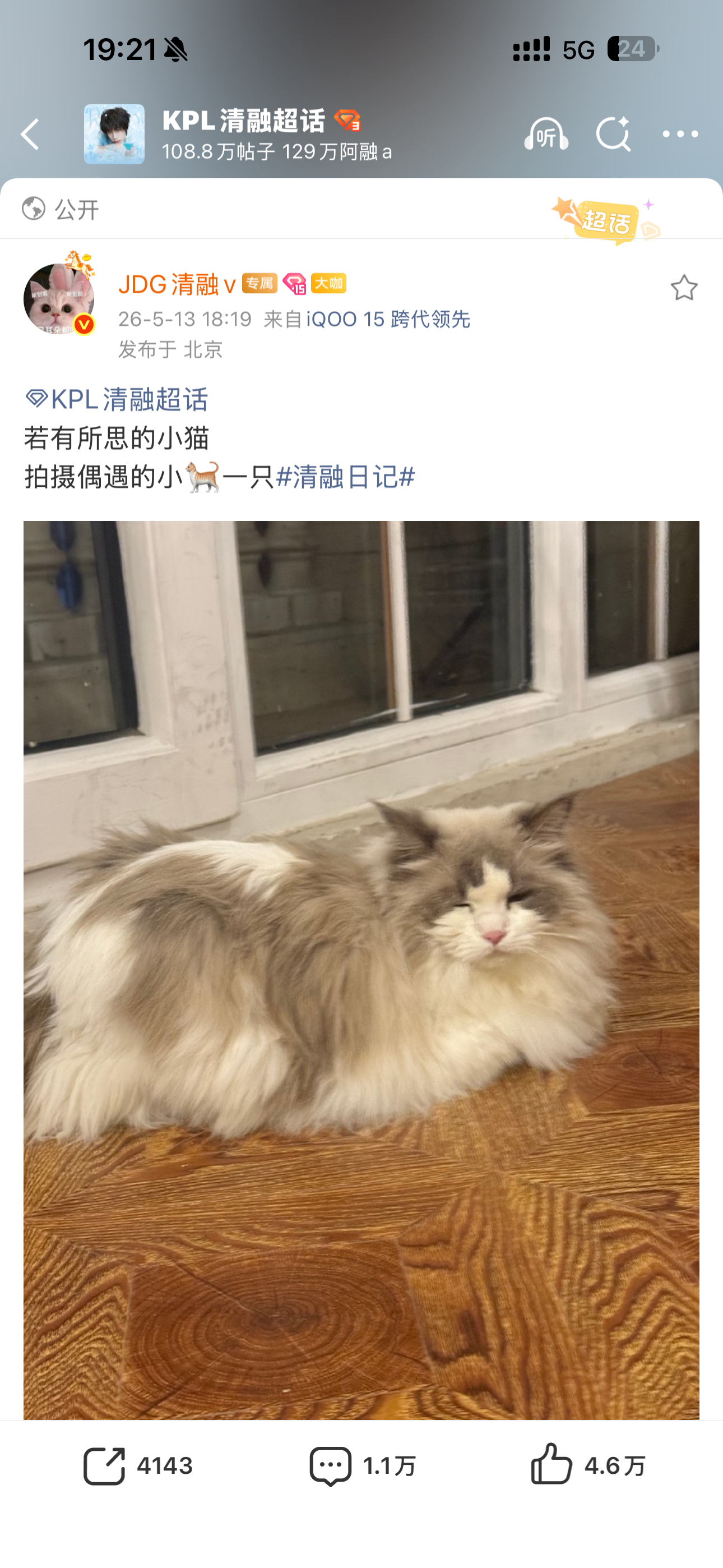 技术再差也比不过这次了 我就说这个猫被他拍的不好看 评论了之后还有ara说我