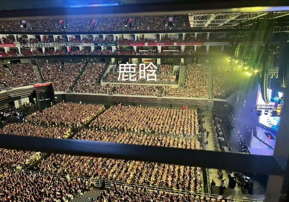 鹿晗张艺兴演唱会上座率 ​​​