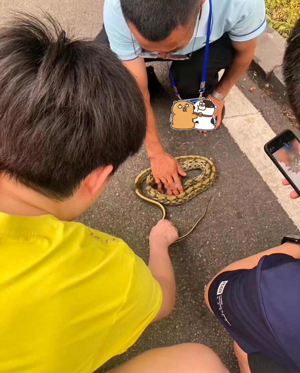 王楚钦在路边摸蛇头哥长大了，知道蛇跟蚯蚓的区别了吧[允悲] ​​​
