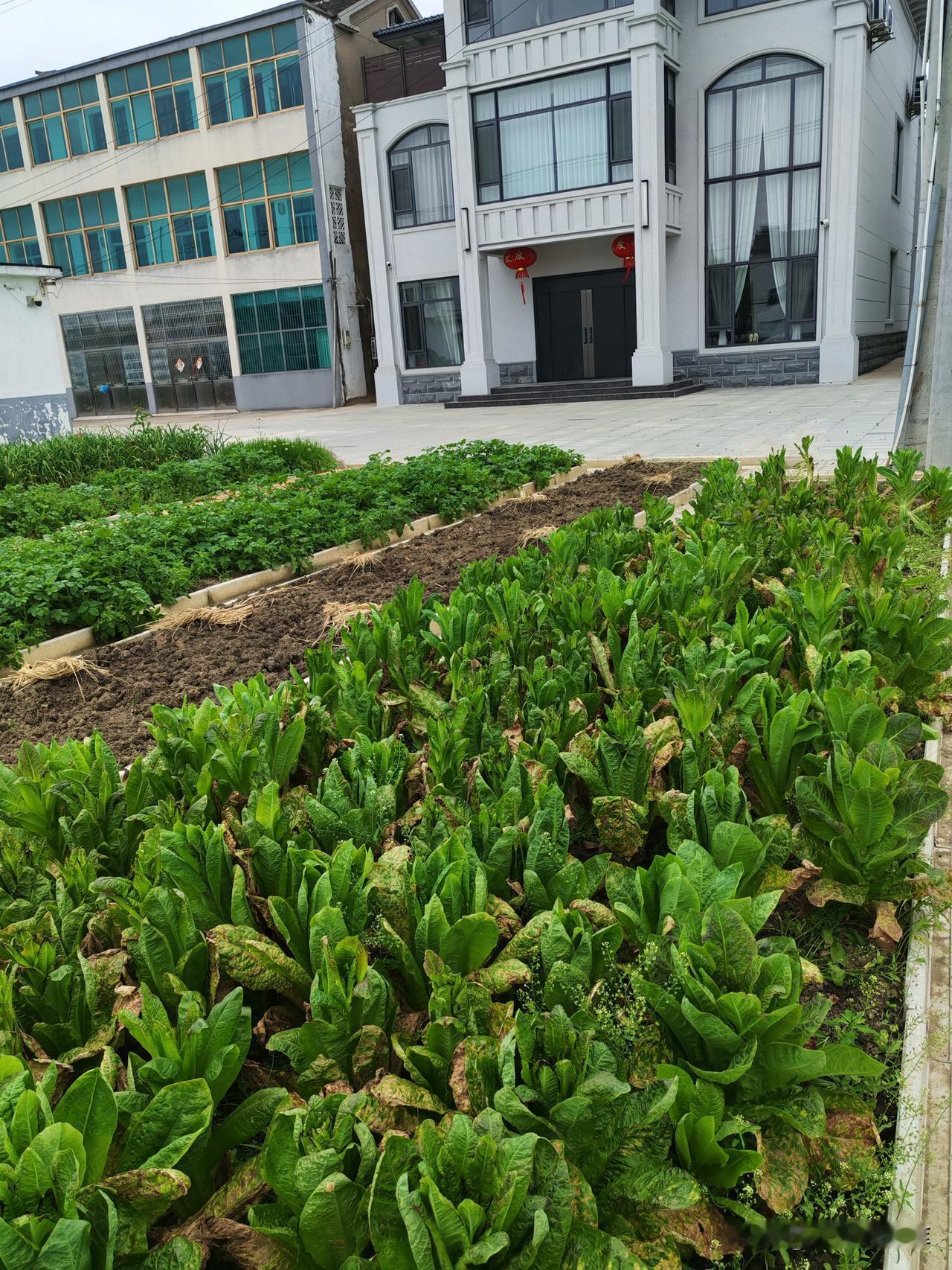 昨夭晚上，准亲家母打电话来问两个孩子的婚事，话里话外，指责我家对她女儿不够重视，