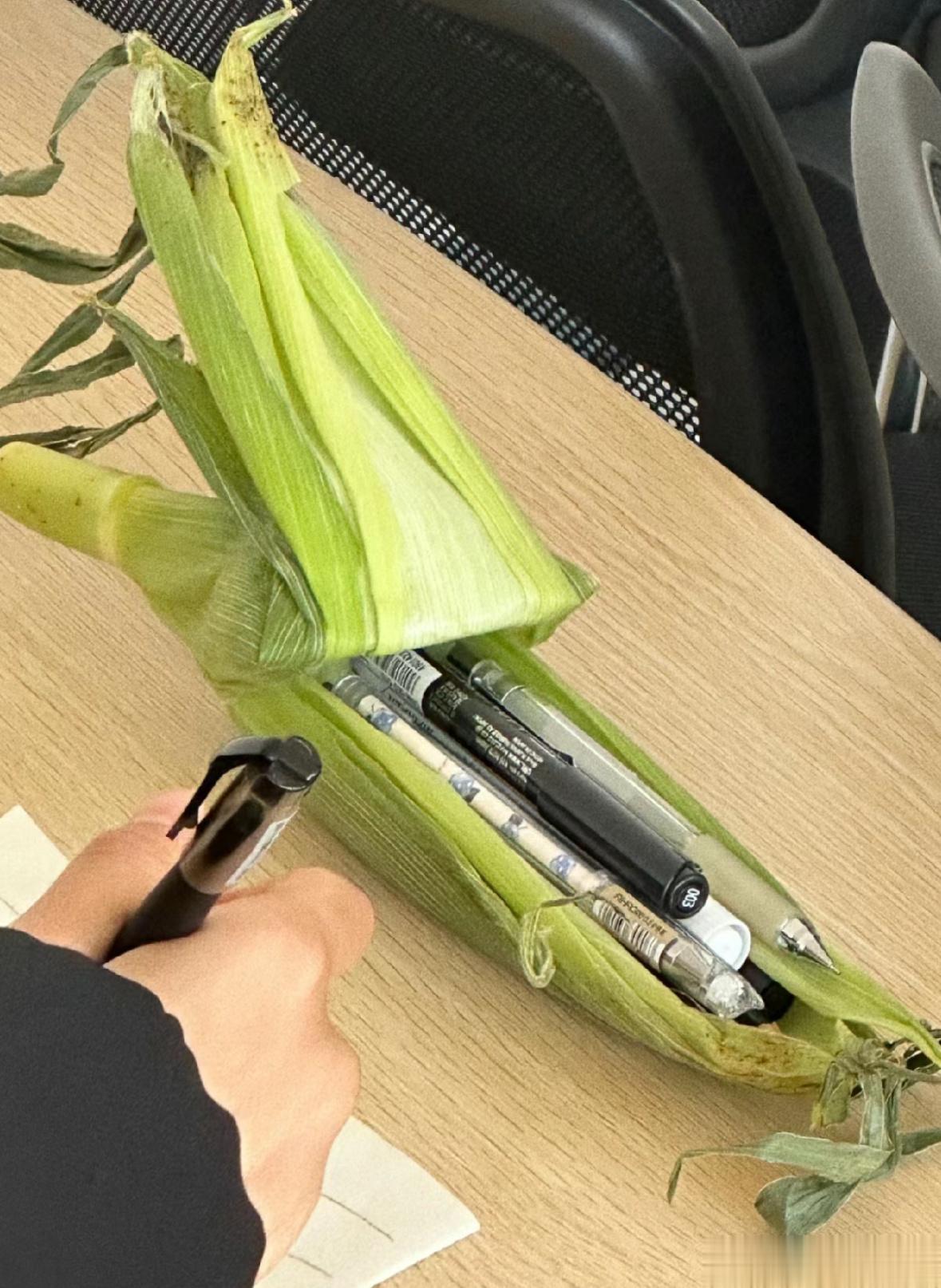 室友用玉米皮当笔袋，好一股大自然的味道[doge] ​​​