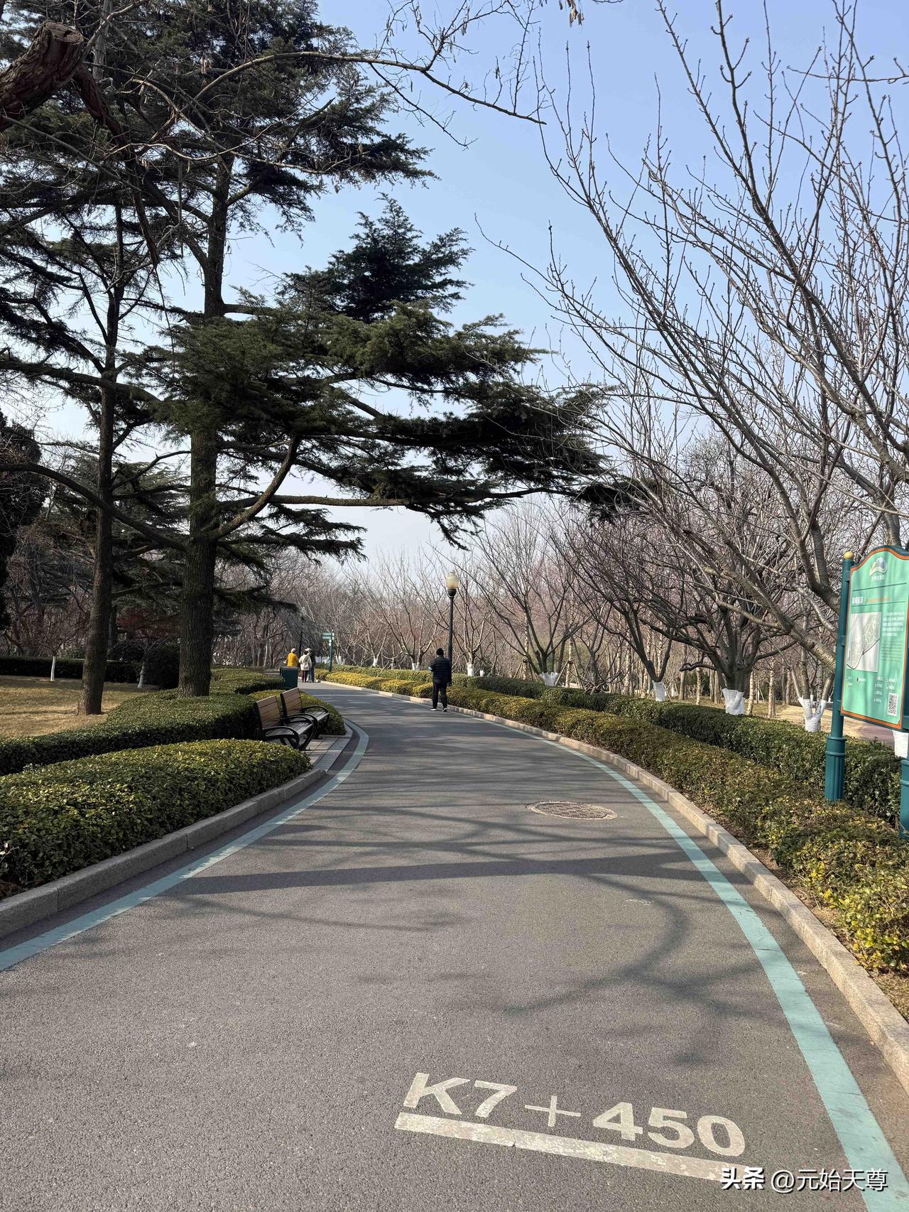 我昨天上午又去青岛中山公园打卡了，昨天天气给力气温3到8度天气晴非常适合春季游玩