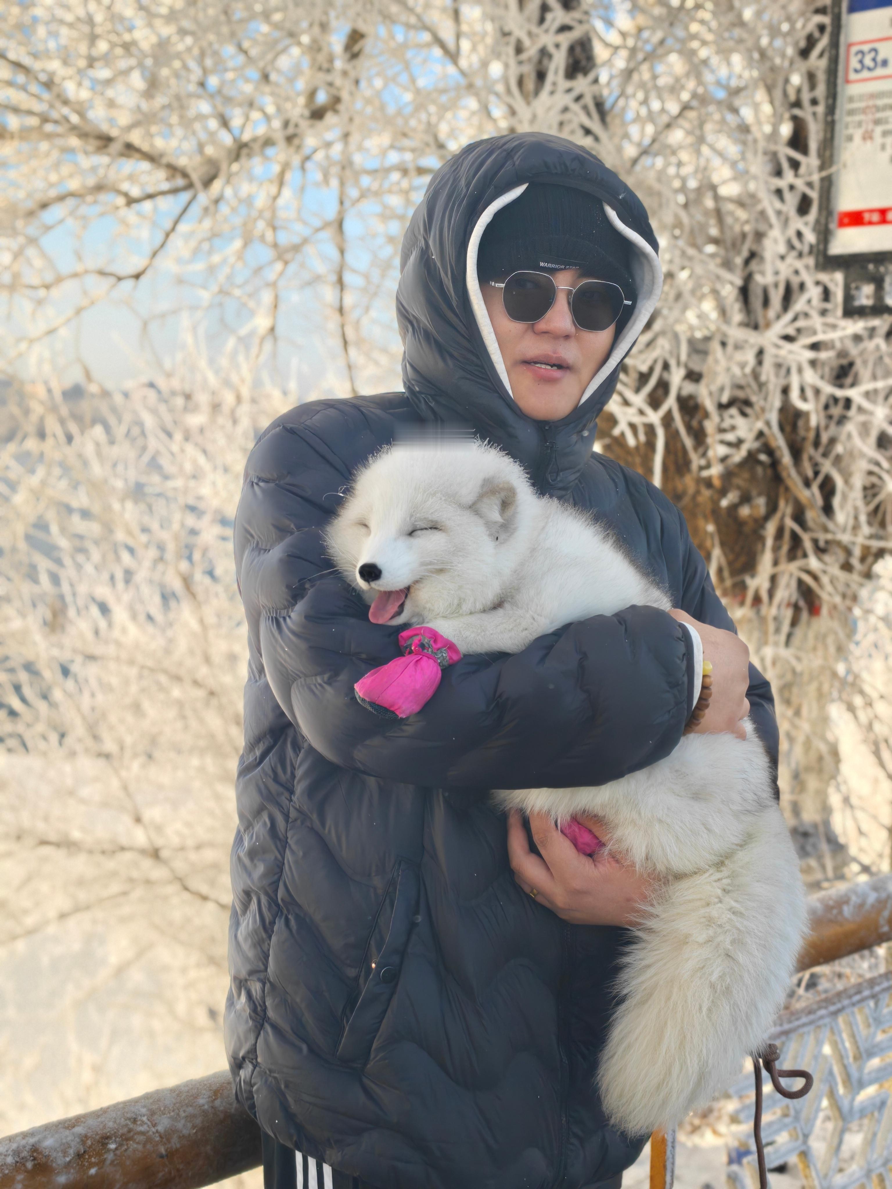 雾凇真好看，小狐狸不是萨摩耶嗷