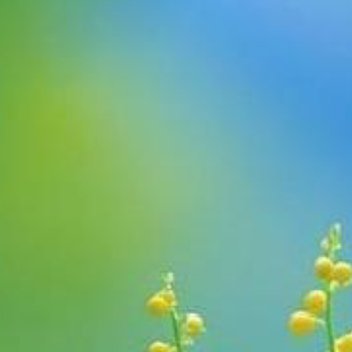 正能量正能量 生命是自己的，不必用别人的标准来框定自己人生。如果想讨好所有人，满