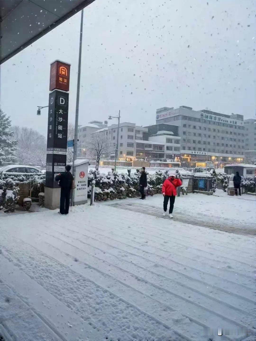 假如南宁下雪，会是怎么样一种场景？有多少南宁人像我这样到现在都还没有见过雪的？都