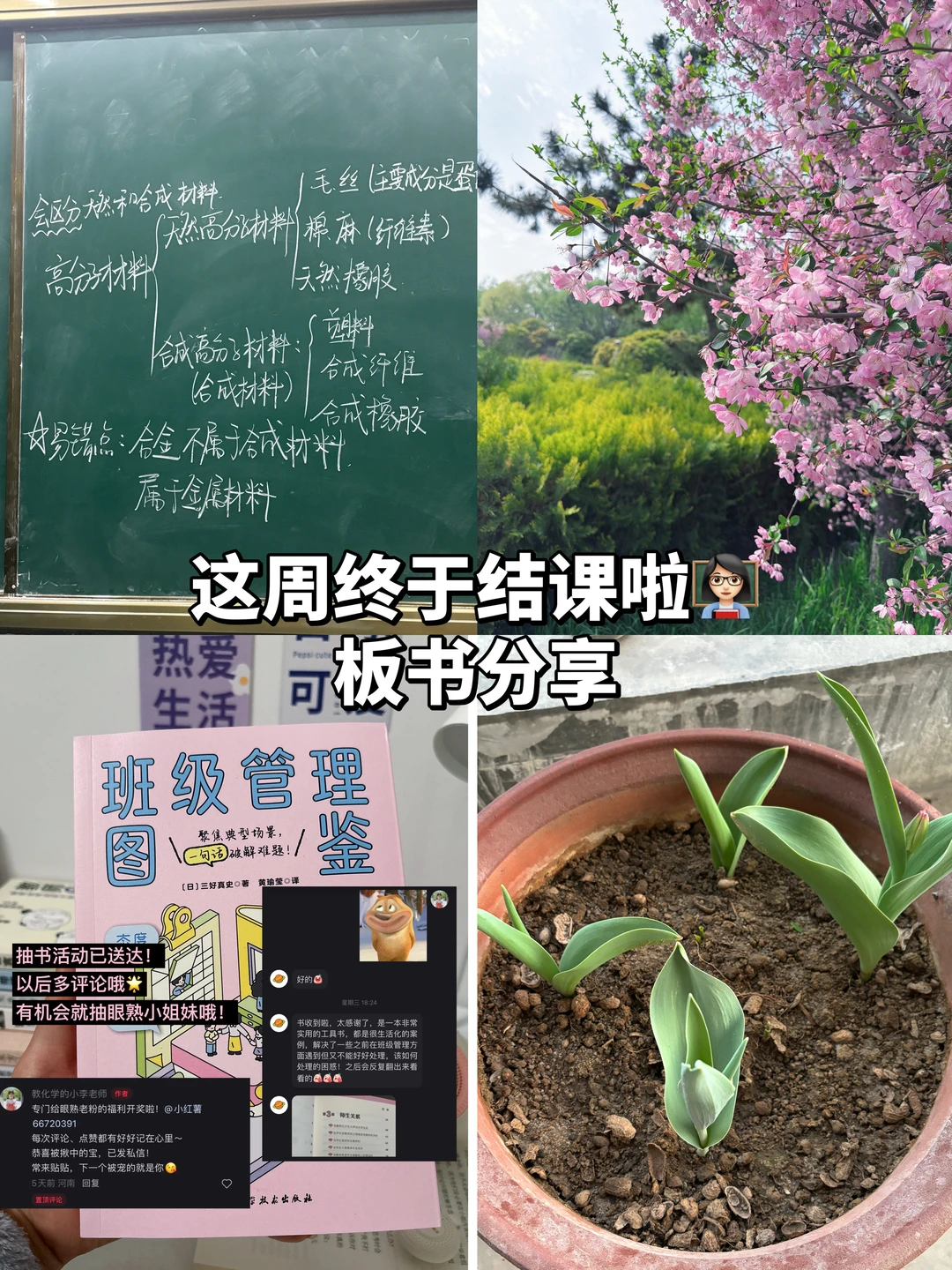本周进度：九下结课✅ 郁金香正在加载中……