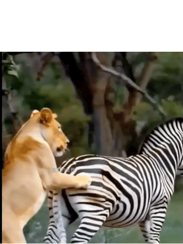 只要踢对了地弱者也有逆袭的时候。