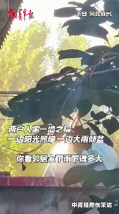 看完这段视频，我真觉得大自然太有意思了。河北沧州这位大哥出门闲逛，竟撞见少见的画