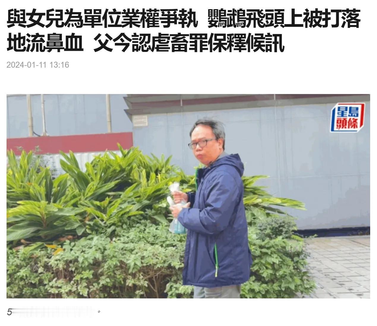 一对父女因为房子问题而吵架，正吵得不可开交之际，家里的宠物鹦鹉飞到父亲头上。

