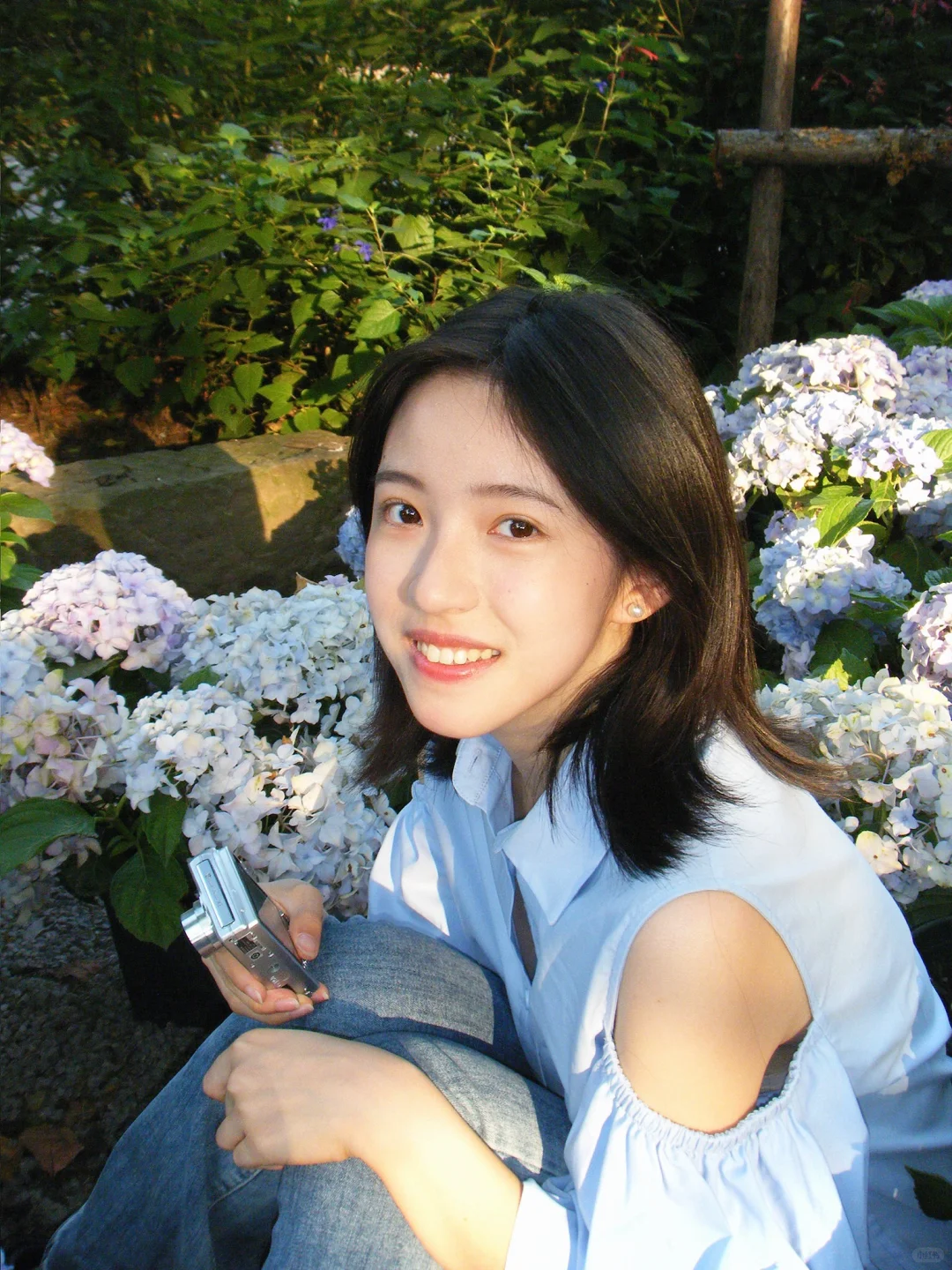 绣球花拍照指南～