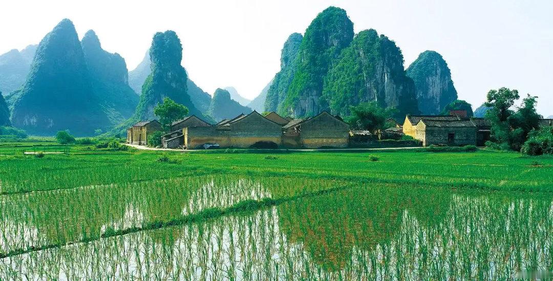 晚安，三无量。风来各展青衣舞，雨过同悬一帐星。 