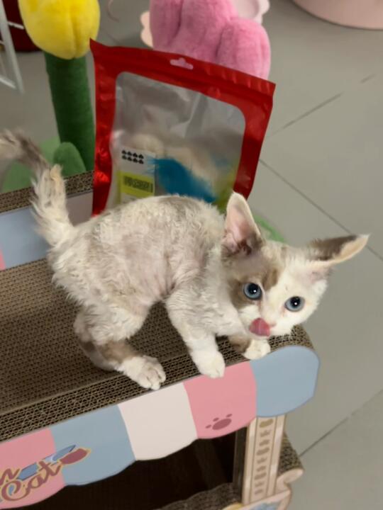 小时候长这样