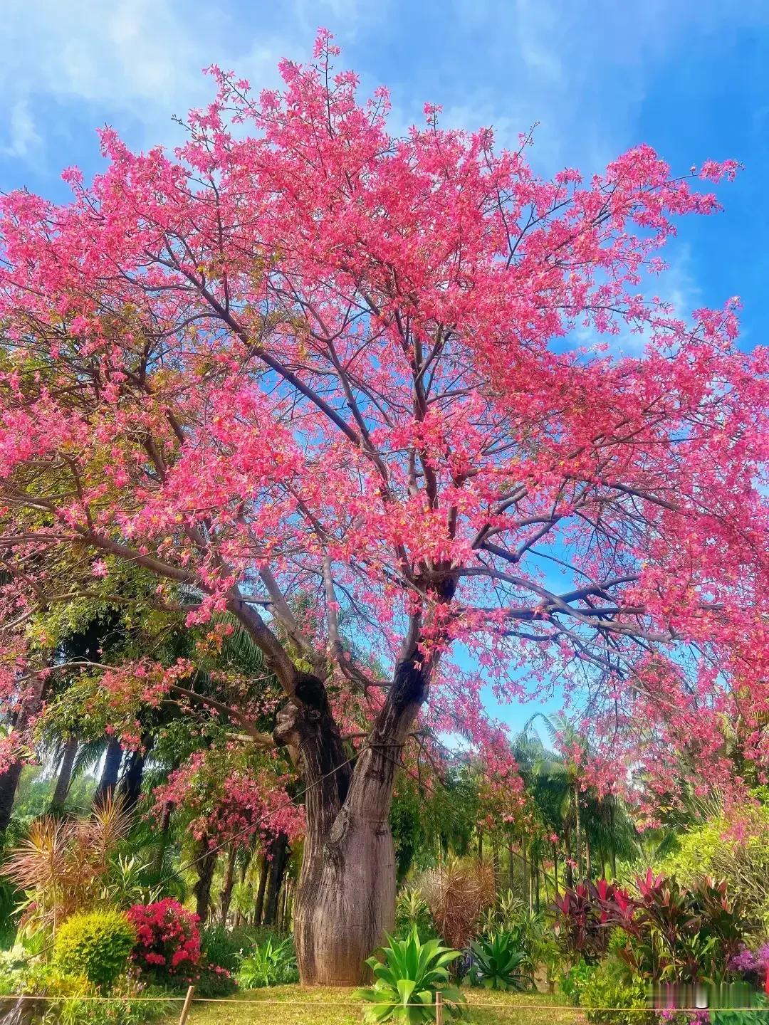 早上写了一篇女人离家出走的头条，有网友在底下评论说就是欺负男人没钱，穷人欺穷人。