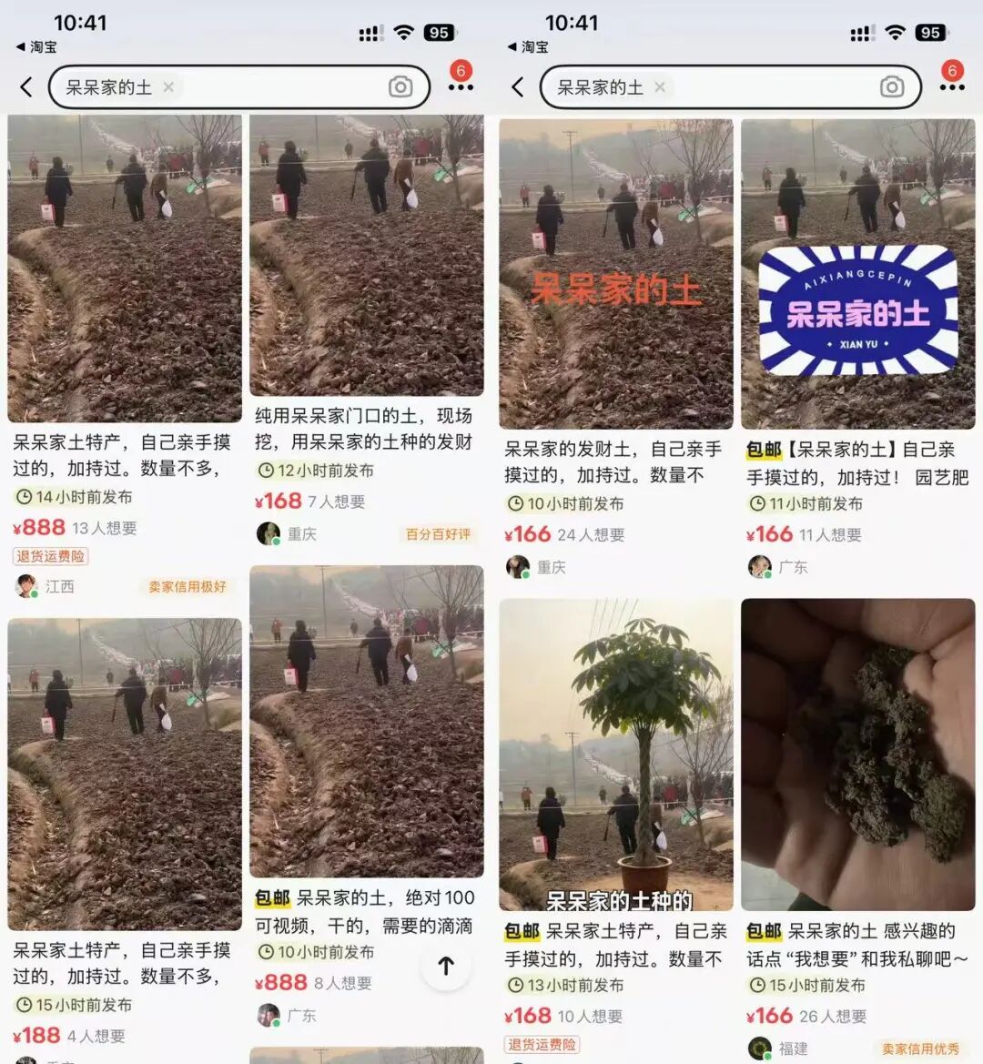 网红“呆呆”“杀猪宴”走红后：家Q门口泥土竟被炒至888元