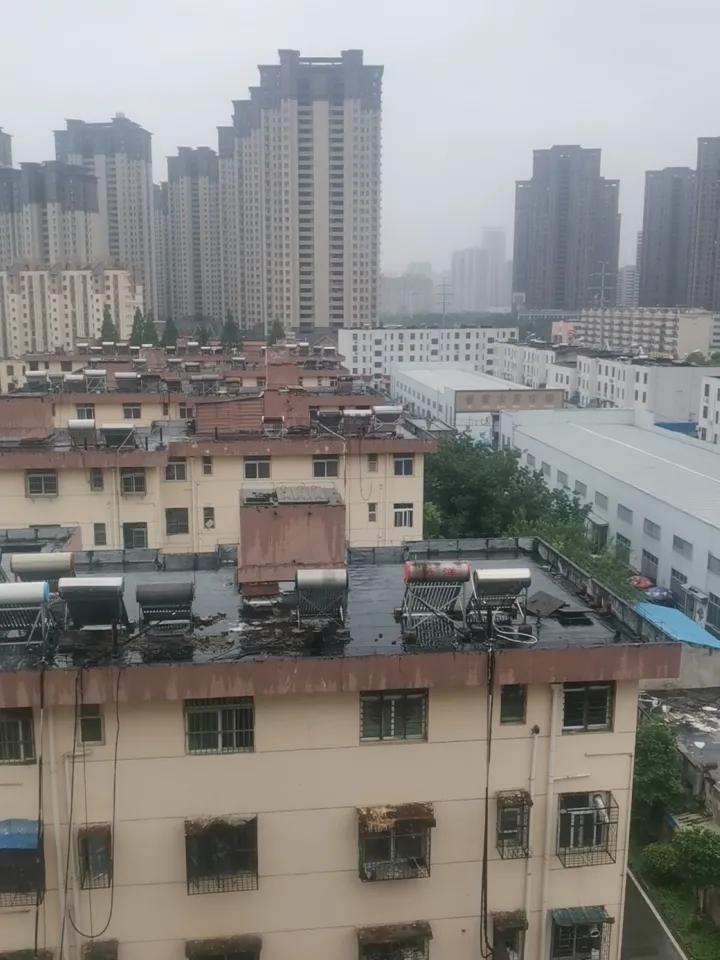 分享一张你最近随拍的照片台风过境，风不大，雨不大，宣传力度大，昨天晚上风大，就这
