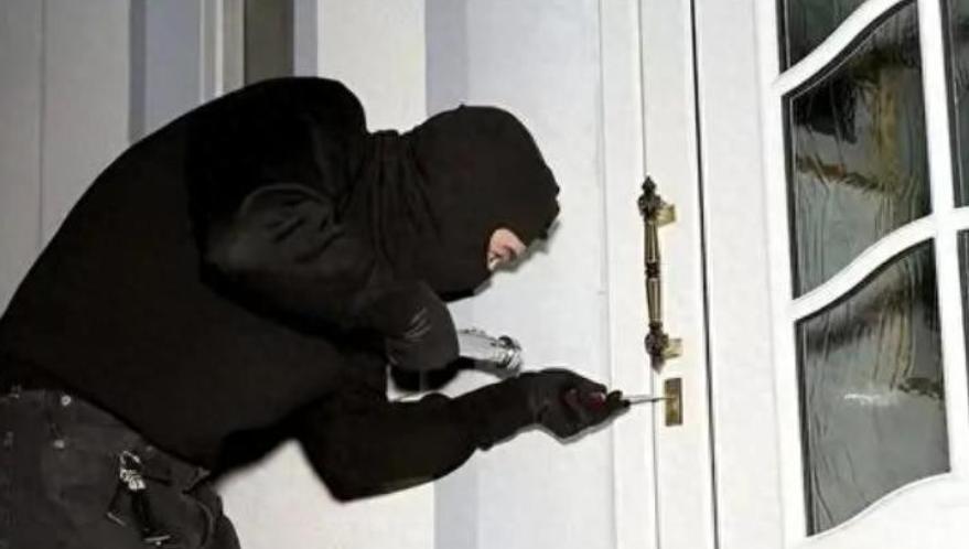 一个小偷儿溜进了我家
被我发现了
于是我大叫一声，将他轰跑了
我看着他的背影
大