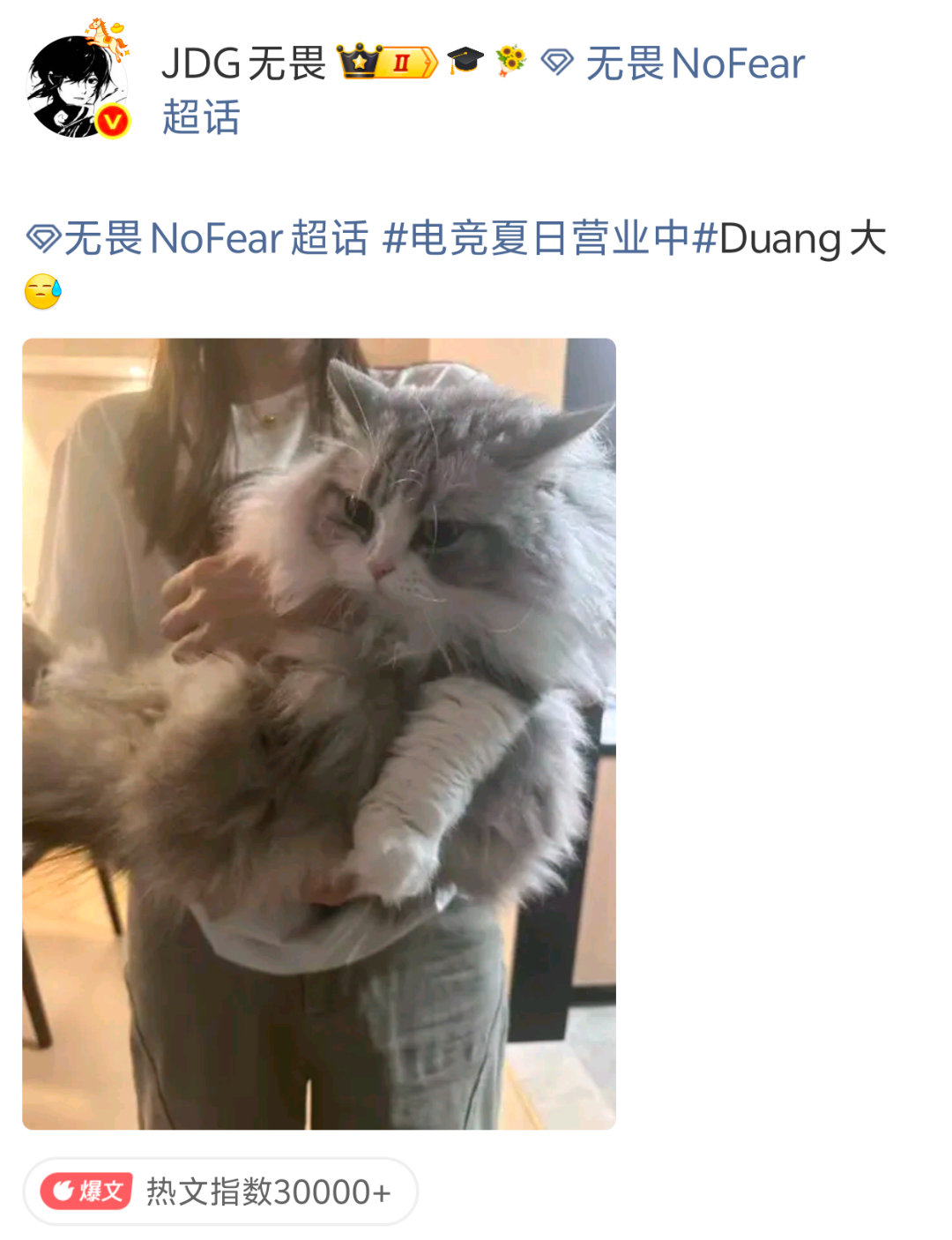 无畏为自己的猫正名了无畏的小猫非常可爱 