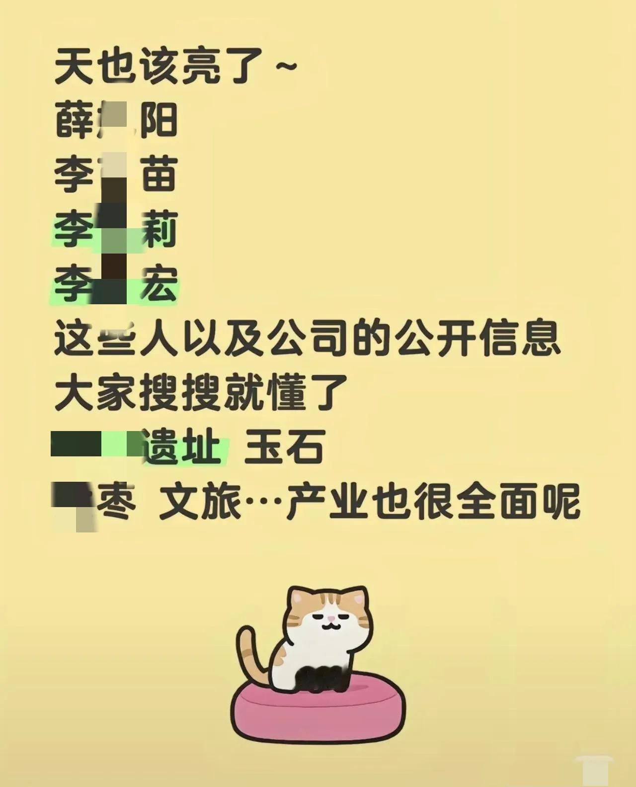 李姓和薛姓的关系网，景区监控招标问题，砂石场、玉石、景区的经营关系问题，都建议全