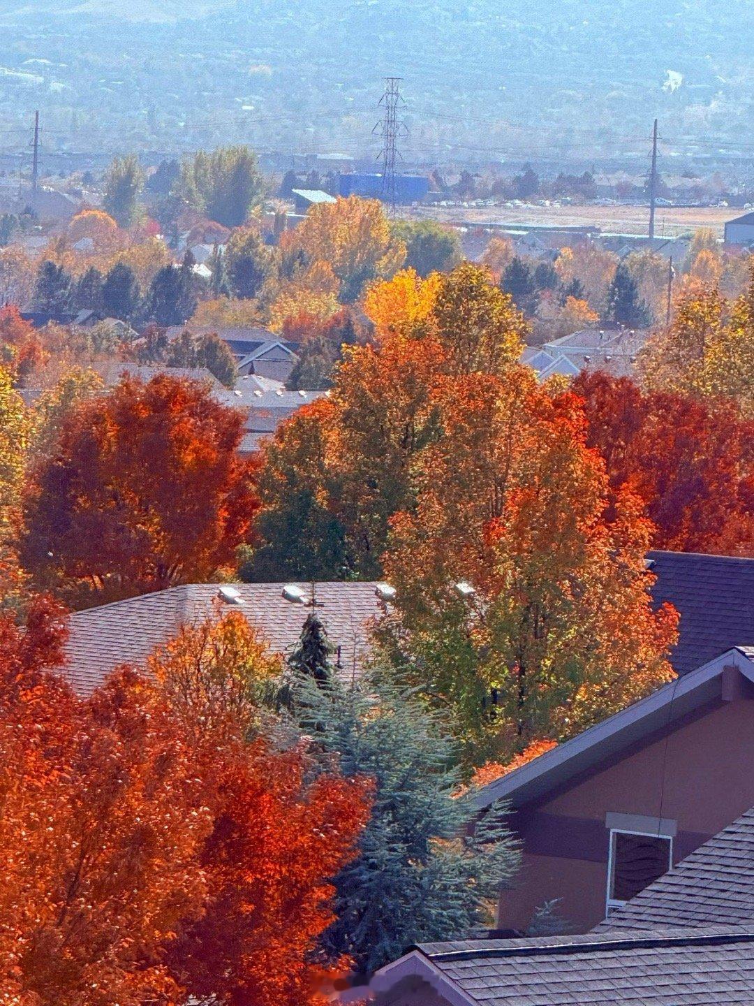 红叶满山路，秋意入眉中。几番西风吹老，黄昏不踏空。梦里曾逢霜冷，醒后空余残影，雁