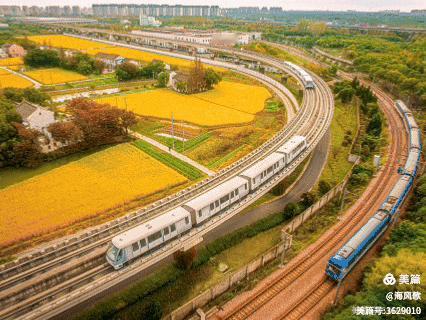 如果人生是一趟开往雪国的列车，我希望一路都是山花烂漫！