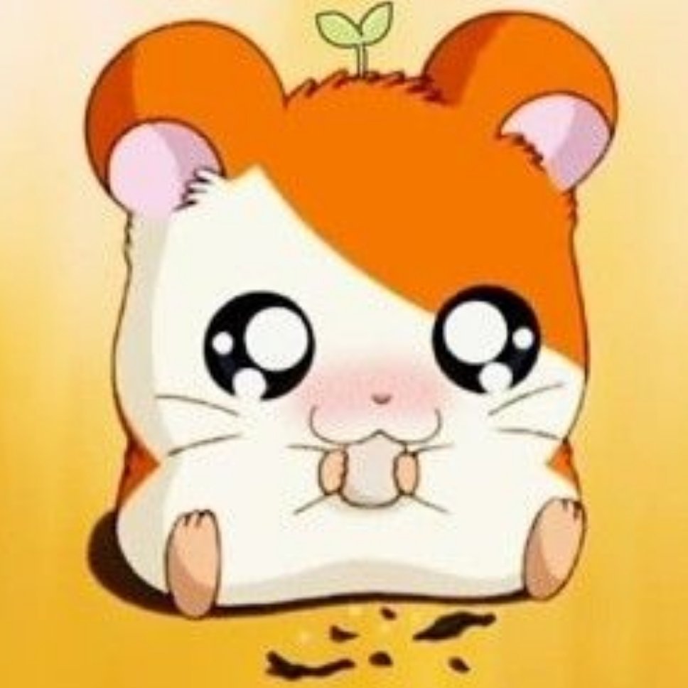哈姆太郎🐹!! ​​​