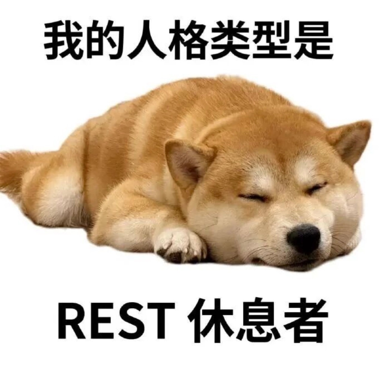我现在是DIE 逝者
