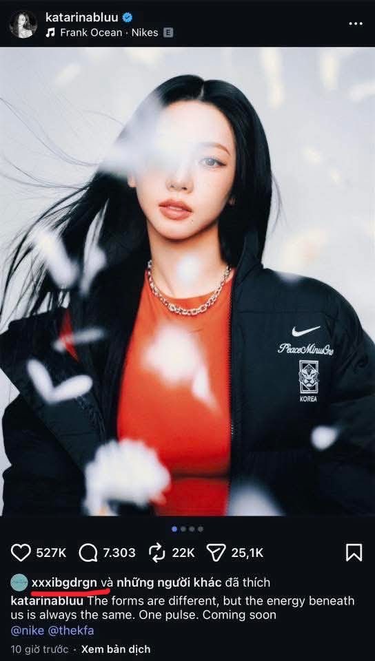 麻龙粉丝再闹真不像话了🙄