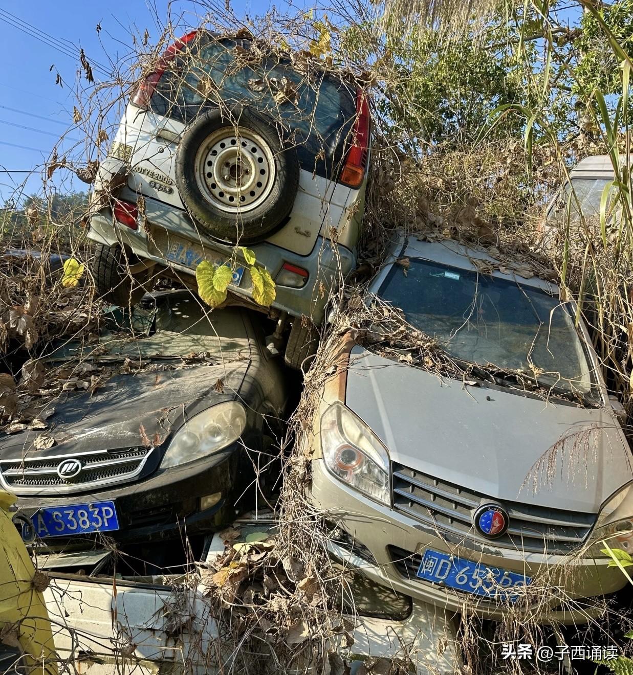 哇塞，这是什么地方，为什么这么多的车被弃之荒野了呢？
