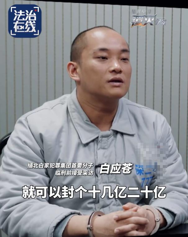 一个盘，20亿。
 
白应苍临刑前交代，随便一个资金盘就能封十几亿、二十亿元。