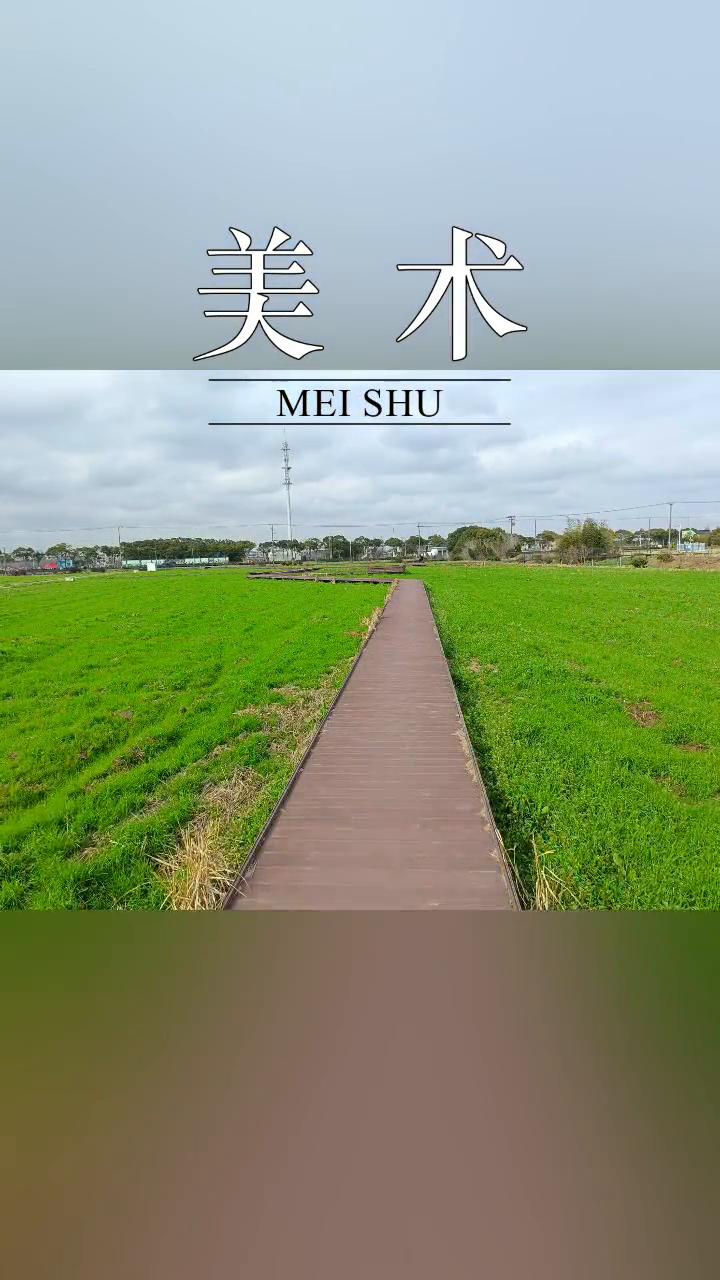 美术。
MEI SHU。