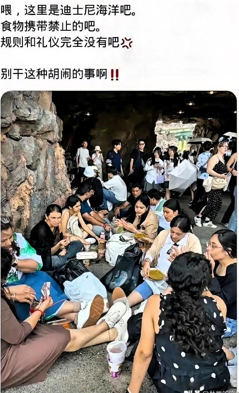 日本网友：吐槽一下！

为什么印度人可以大摇大摆的带食物进东京迪士尼，而我们却不