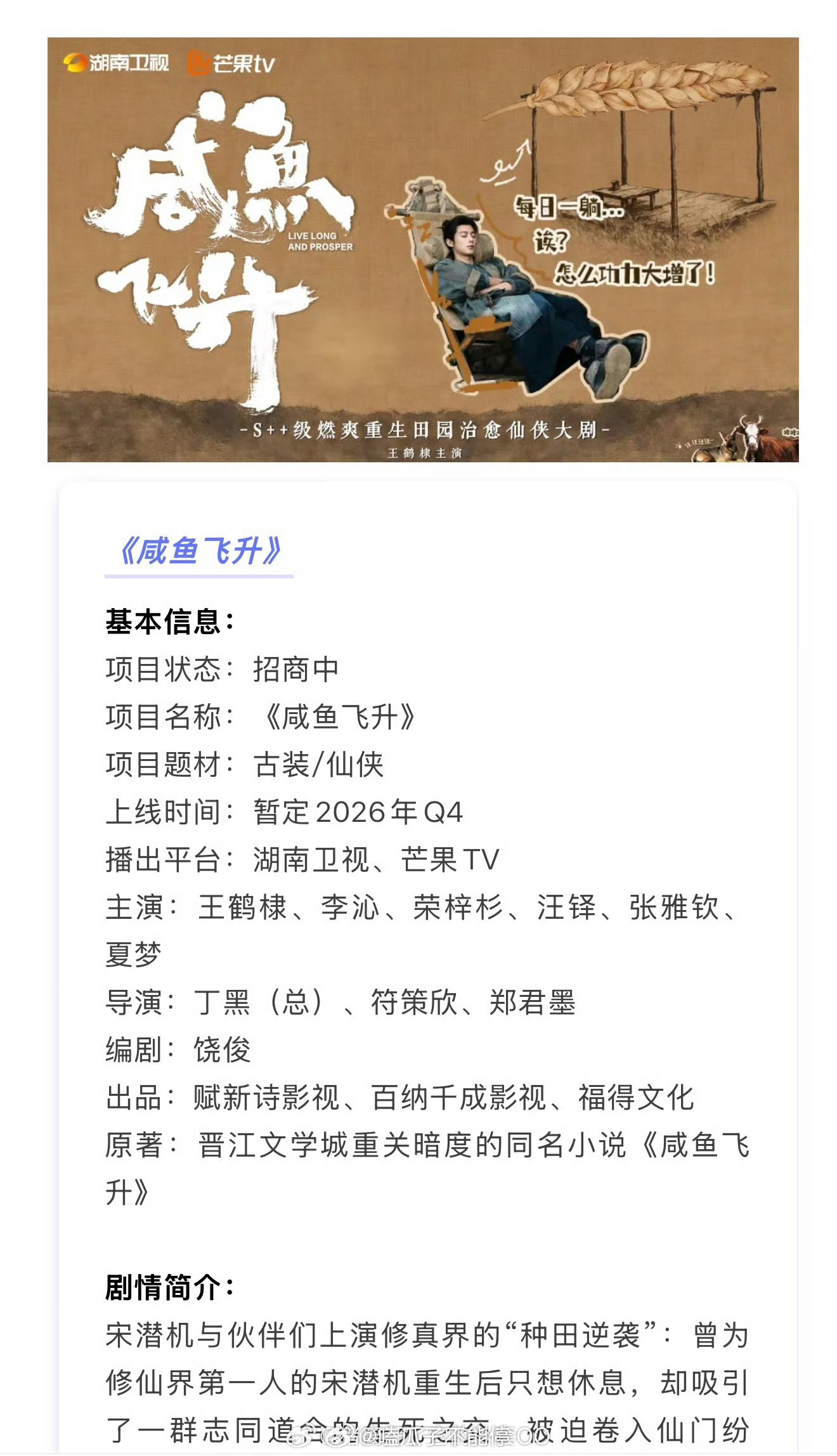 王鹤棣《咸鱼飞升》开启招商，预计第四季度在湖南卫视/芒果tv播出！ 