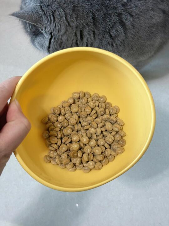 这个甜甜圈猫粮的夹心好小