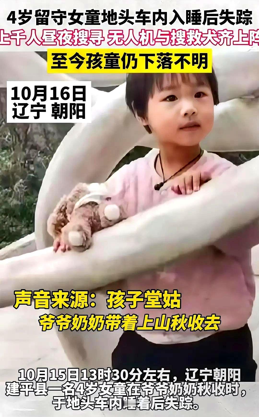 虽然女童在车内失踪很离奇，但其中一些细节很值得深思，也许能判断孩子的去向。

女