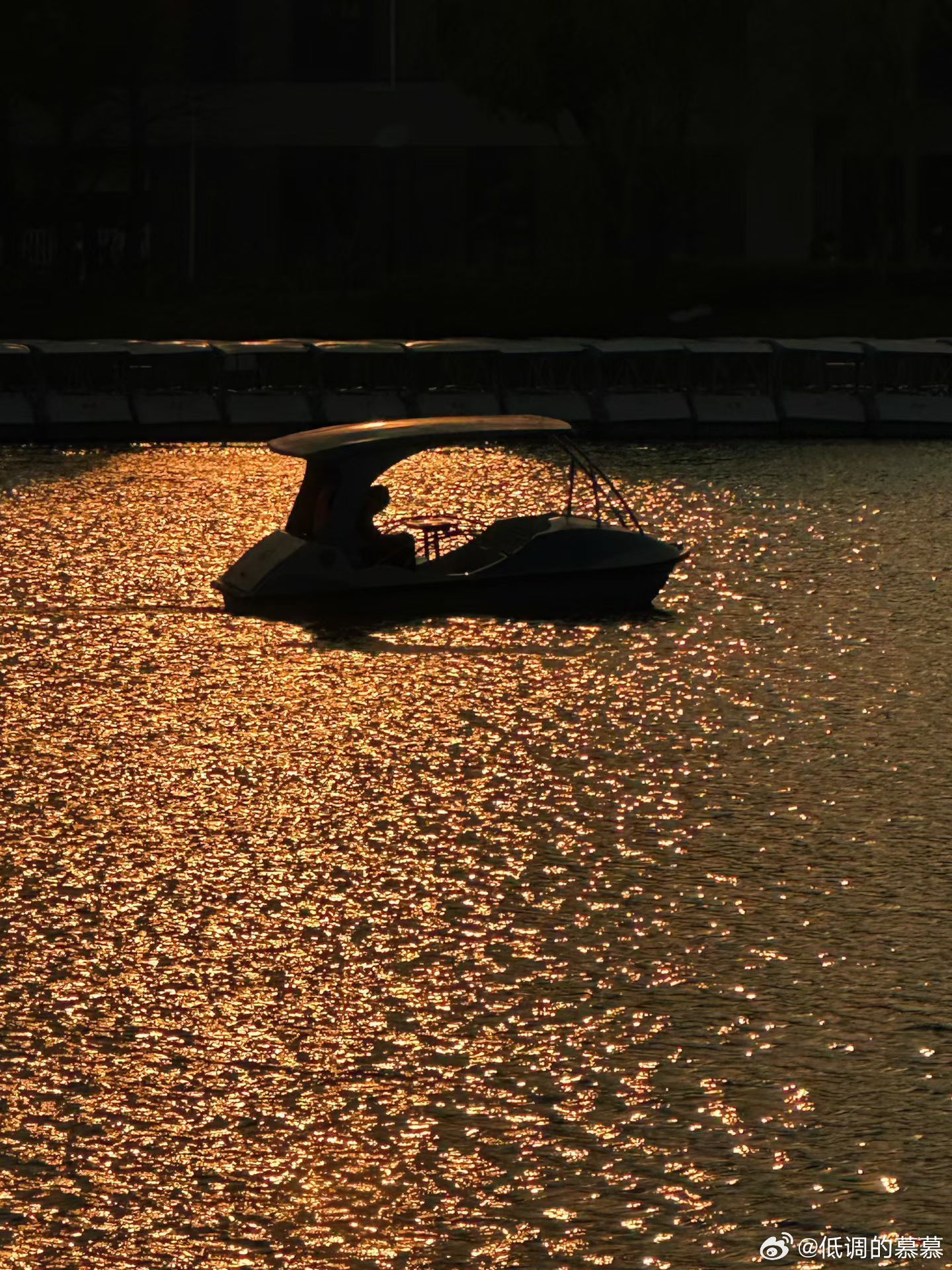 春天🌷夕阳🌇～ 