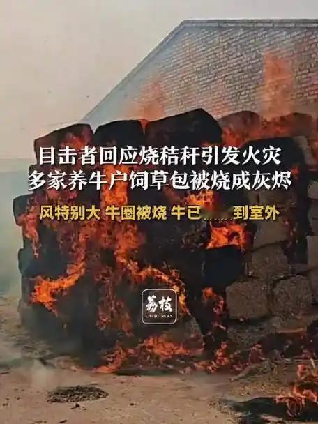 野外违规焚烧隐患重重，一时疏忽便会酿成无法挽回的财产损失。
（个人观点仅供参考，