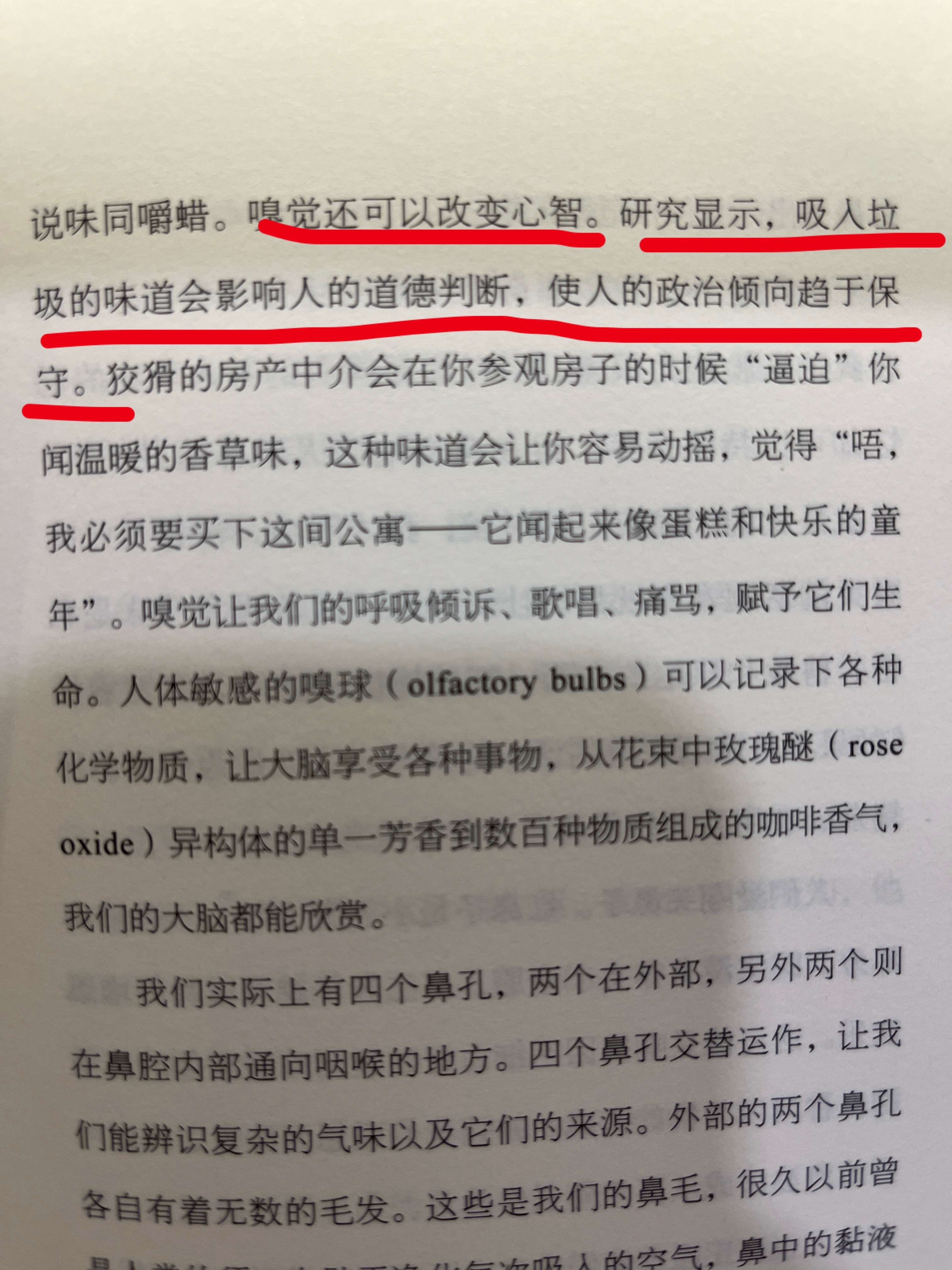 嗅觉与心智面部是真相修心养面进化圈
