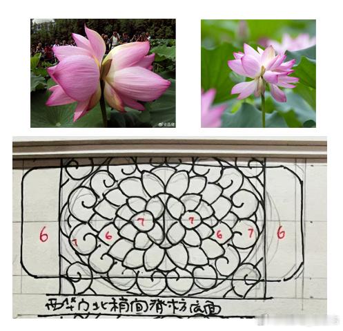 王仲杰先生书稿里西华门万历时期的彩画，一株并蒂莲似的旋花[鲜花]比较少见 ​​​