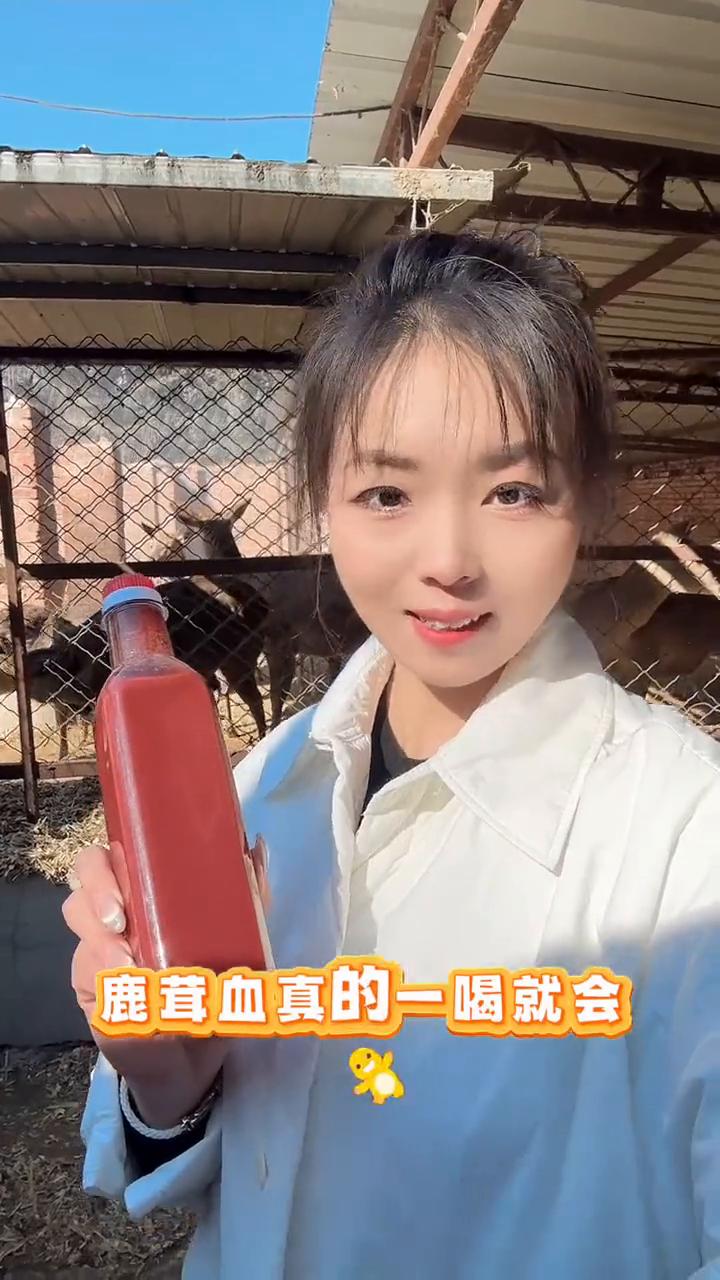 鹿茸血真的一喝就会热吗？
答案是真的。因为鹿茸血的热性非常强，要用50度以上的纯