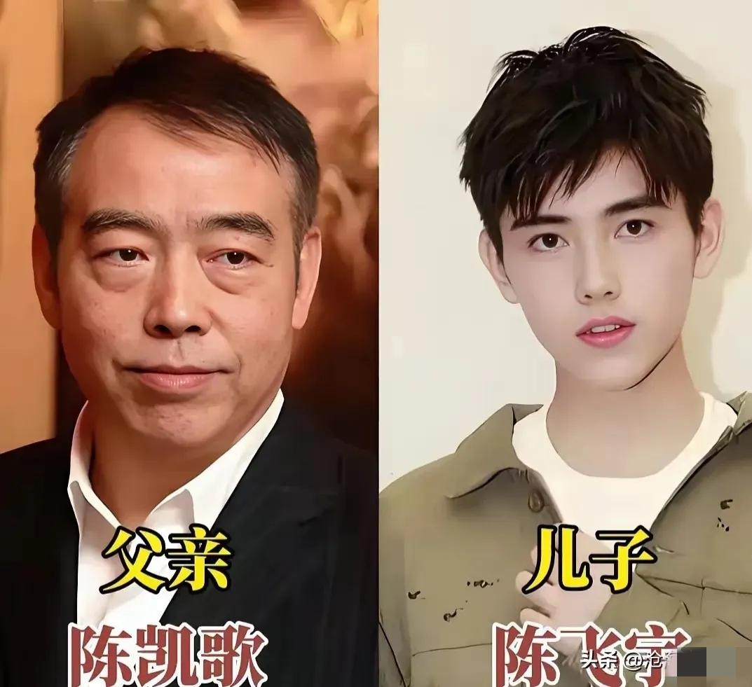父子同框，父亲庄重大气，儿子英俊可爰。陈凯歌与儿子陈飞宇，许亚军与儿子许可，黄志