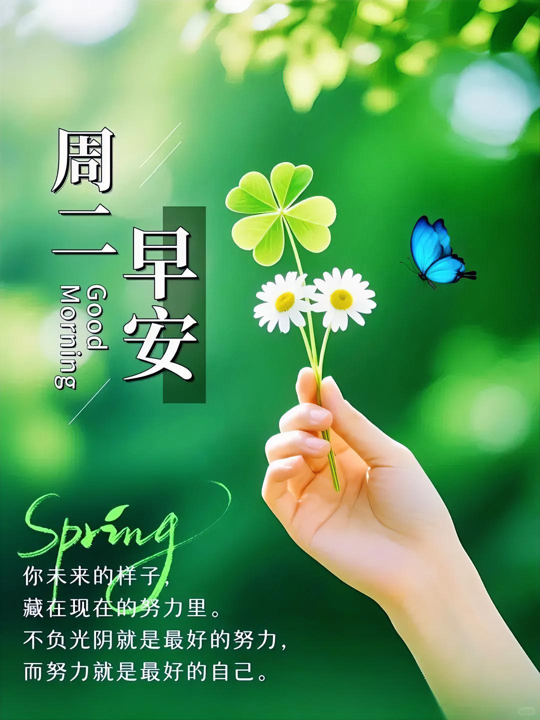 周二早安！手握幸运四叶草，看蝴蝶蹁跹起舞。不负时光，奋力奔跑；不负光阴，成就更好