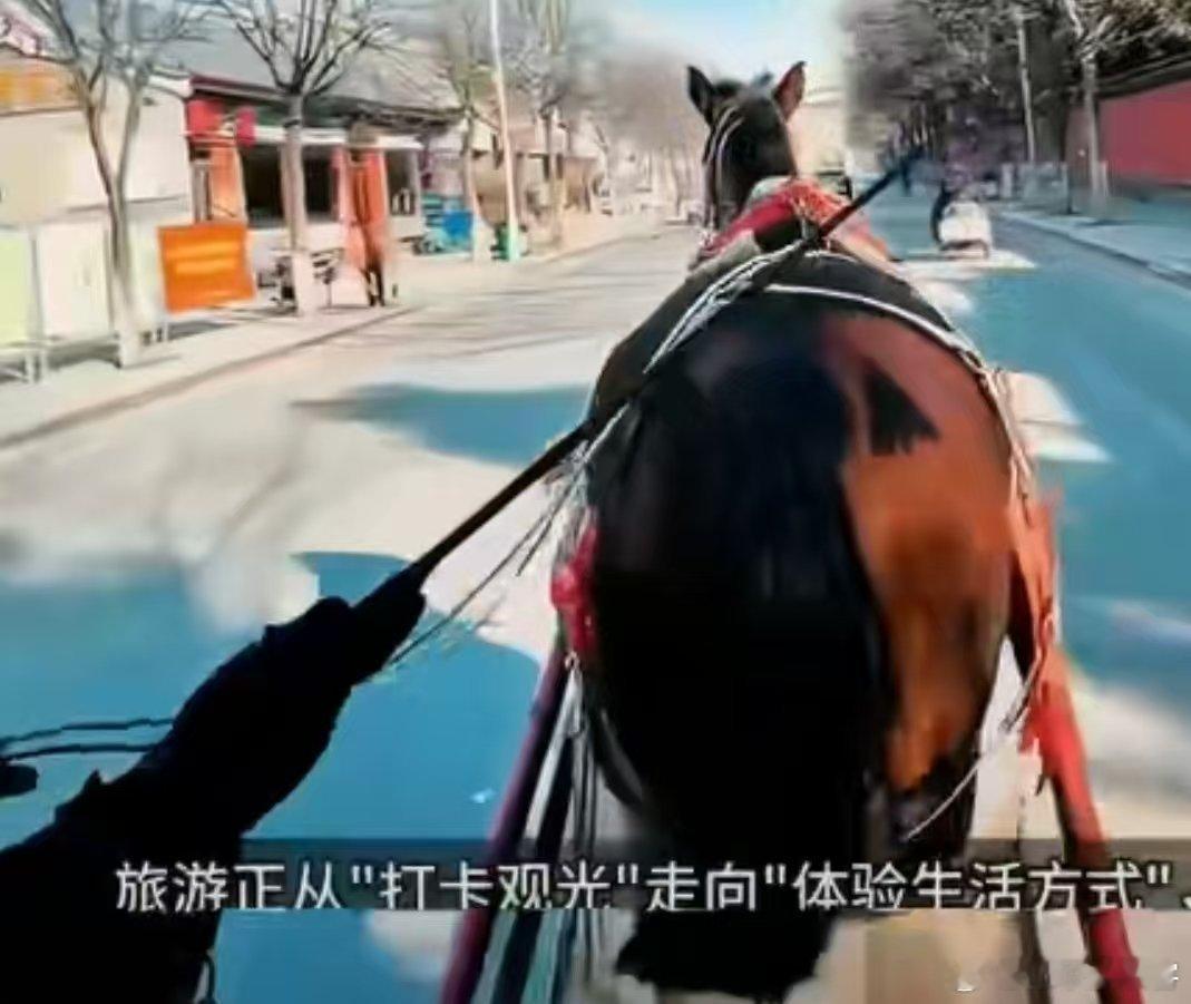 现在的年轻人旅行，真的太懂浪漫了偏爱唐风宋韵，喜欢古城烟火把汉服穿在身上，把文物