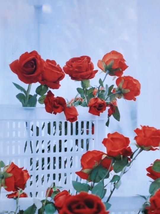 祝每个不真诚的人，一直烂在可恶的新鲜感循环里。— I wish everyone