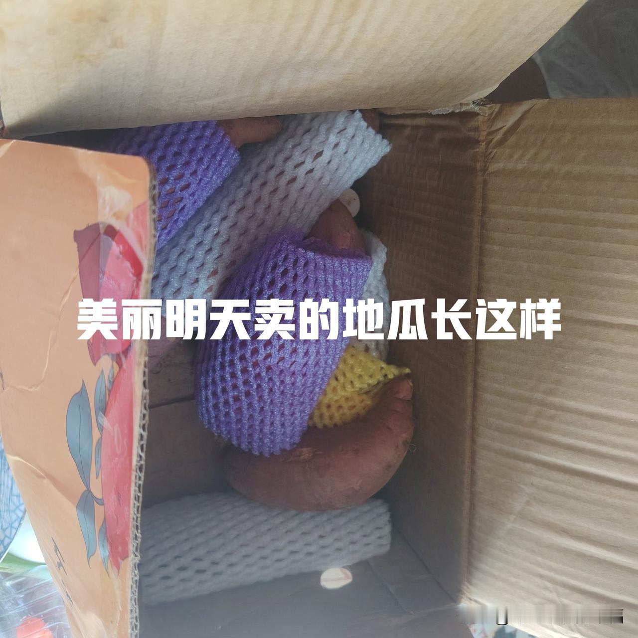 美丽明天卖石榴，我就不买，我就去东方甄选APP买，东方甄选的大石榴多好呀！又大又
