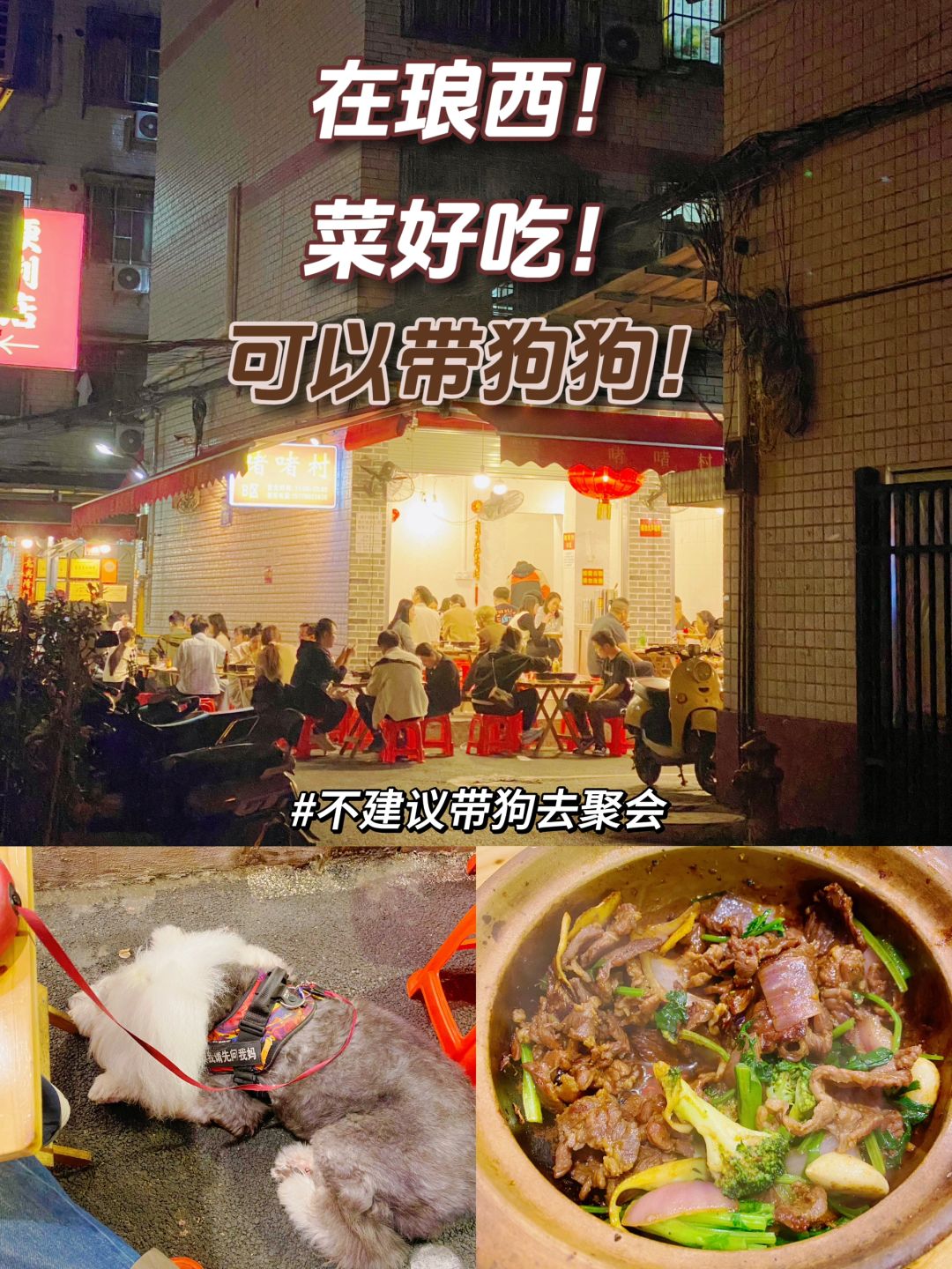 在南宁！可以带狗狗一起吃饭网红店——啫啫村！
